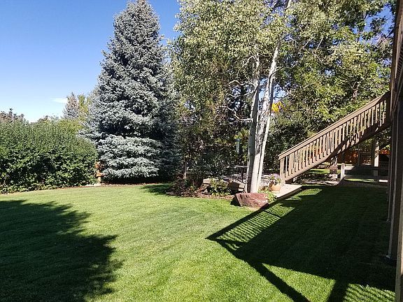 Large Flat Backyard