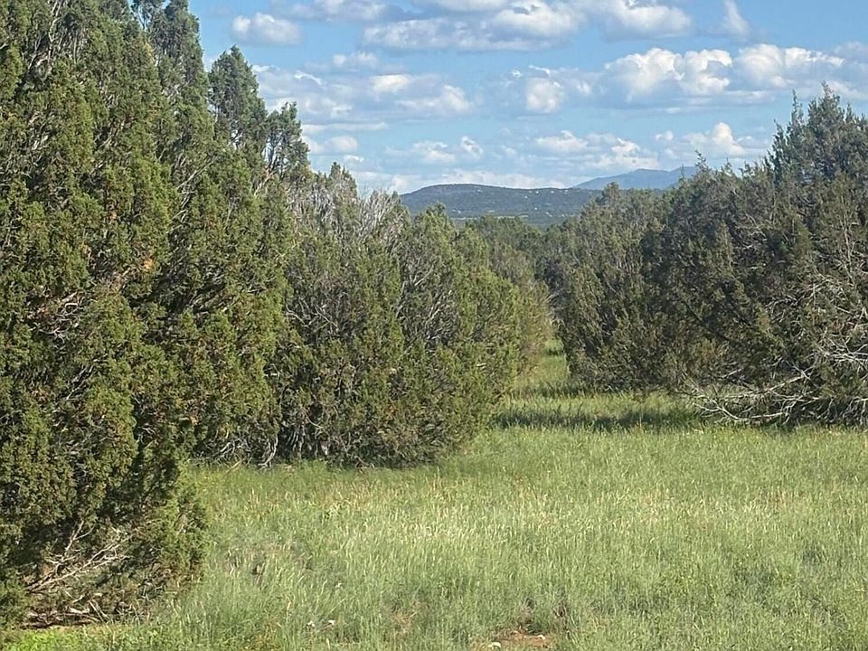 1st image of Rough Rd N #8388