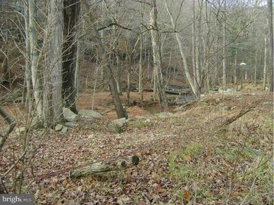 127 Route, Bloomery, WV, 26817