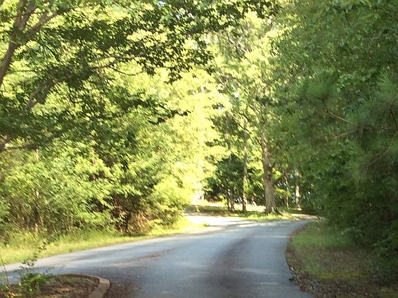 Tree lined frontage. 