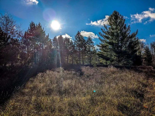 6100 W Maple Grove Rd, Farwell, MI 48622