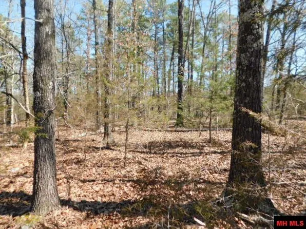 516 Quail Way, Dolph, AR 72528