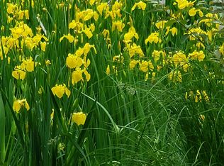 21592 Shallow Lake Rd, Warba, MN 55793