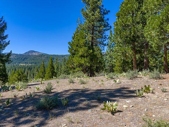 2nd image of 1924 Grizzly Ranch Rd