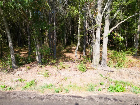 County Road 4313, Pittsburg, TX 75686
