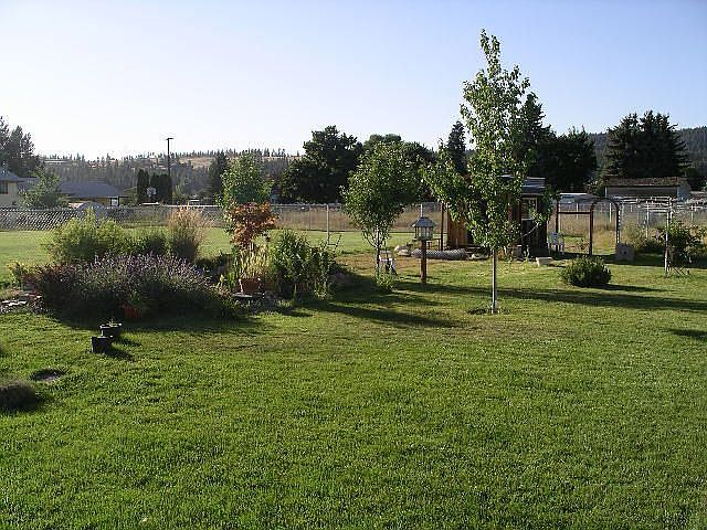 Backyard_1
