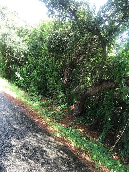 2nd image of 5060 Olivia Rd