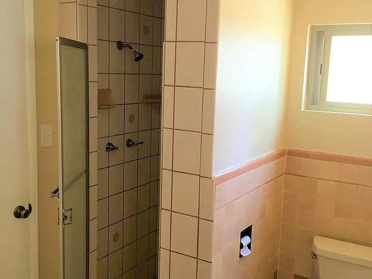 Shower in Bathroom