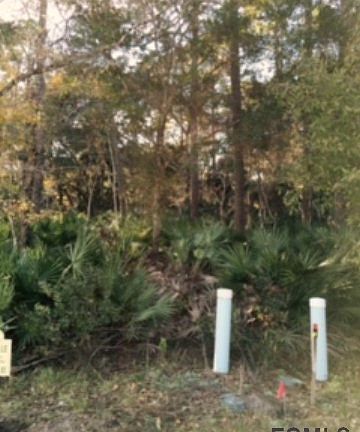2nd image of 15 Bluejack Ct