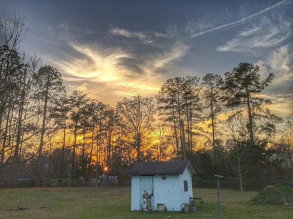 256 Red Raider Dr, Bamberg, SC 29003