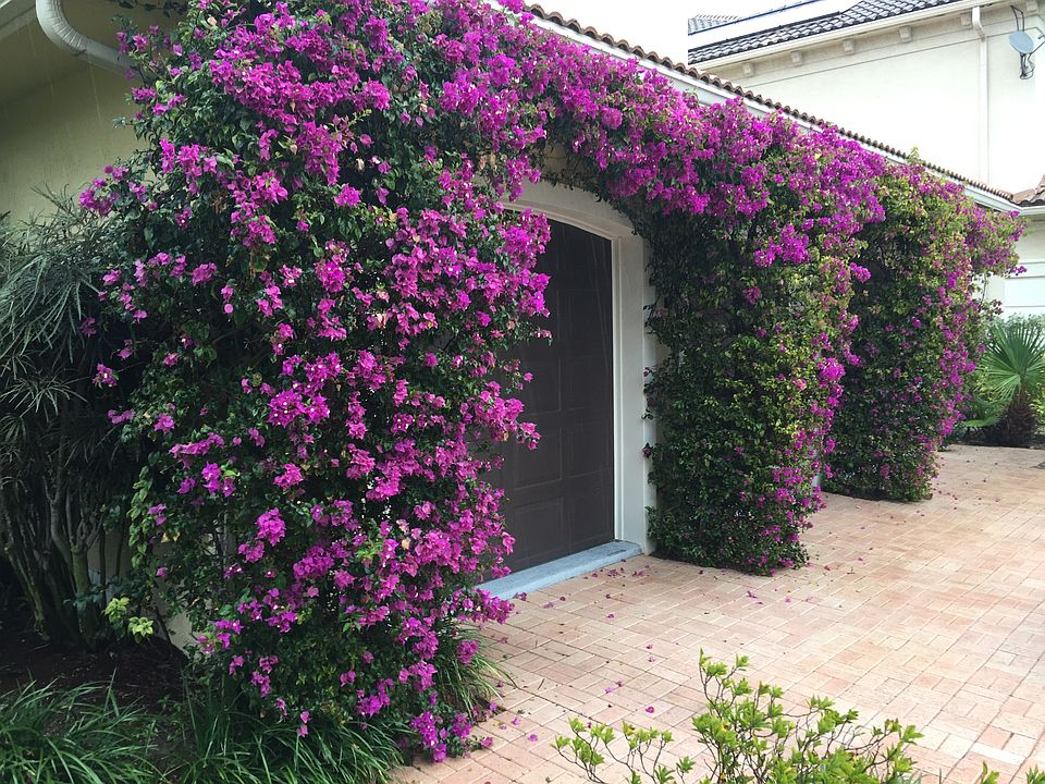 1st image of 941 Cypress Dr