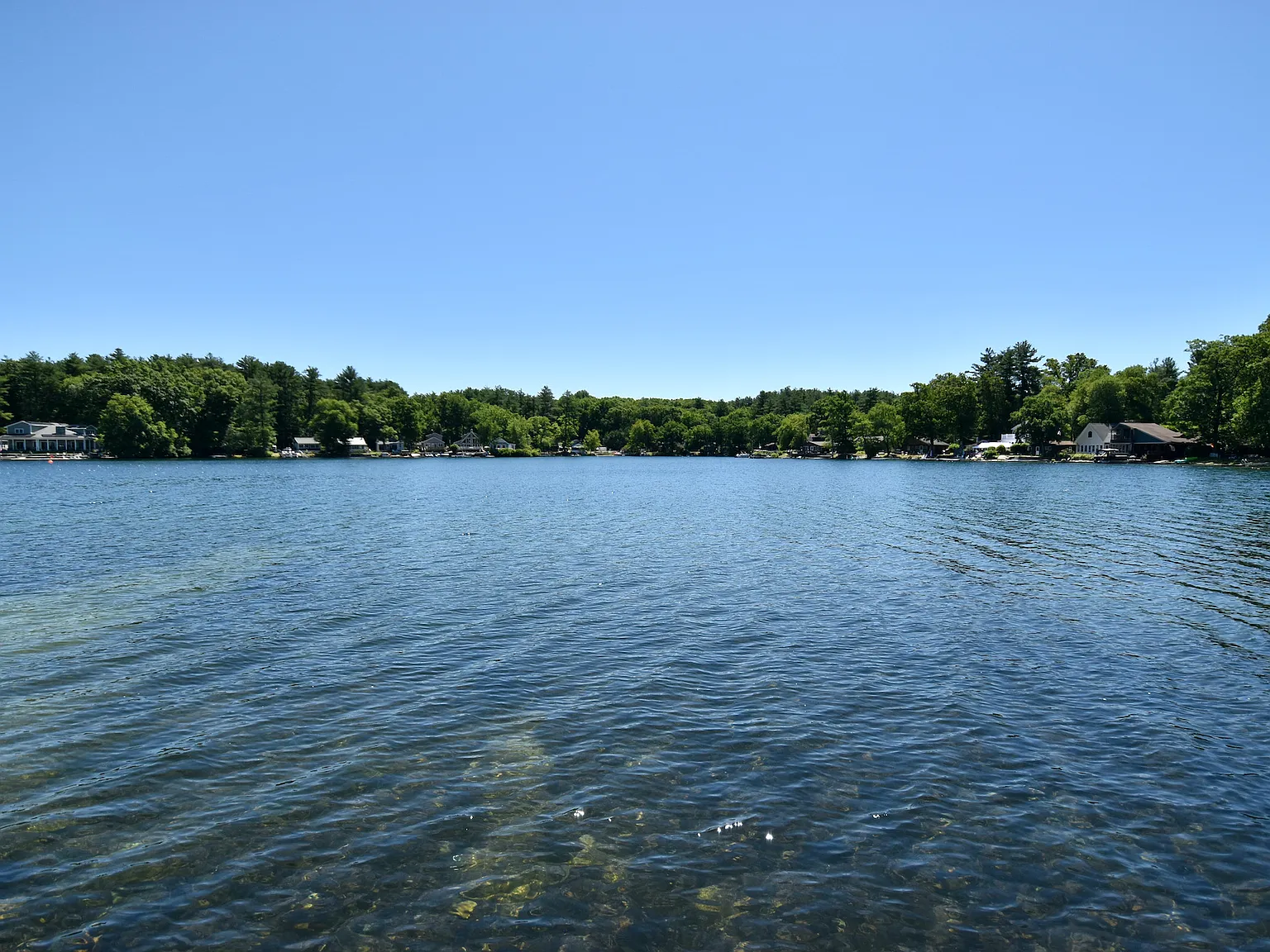 3 bed, 840 sqft, $2,000 — Photo 2