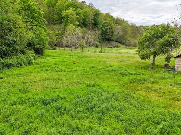 0 Bee Hollow Rd, Greenup, KY 41144