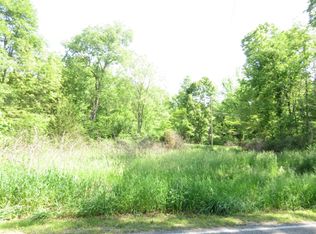 Wayne St, Union, MI 49130