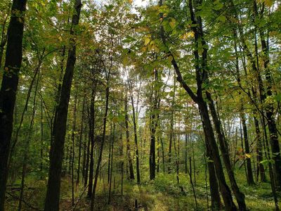 2698 Runway Ave, Bethel, OH, 45106