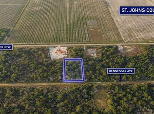 10335 Hennessey Ave, Hastings, FL 32145