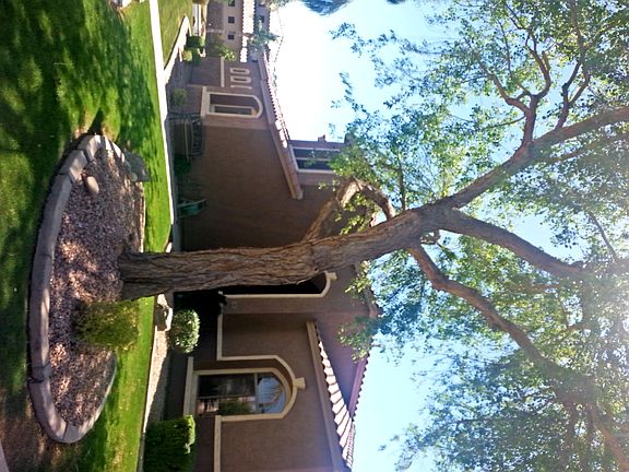 4th image of 381 W Roadrunner Dr