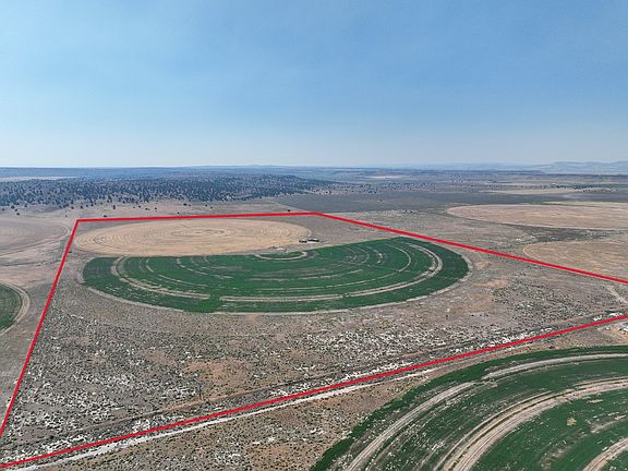 5th image of 707 Ponderosa Vlg