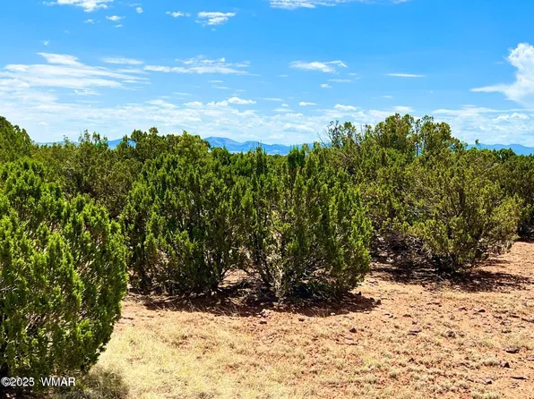 85 County Road 8070, Concho, AZ 85924