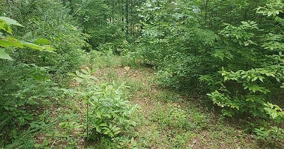 4th image of 5332 State Highway 18 S