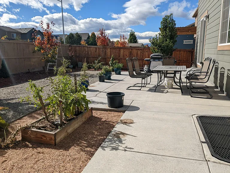 Backyard with Large Patio
