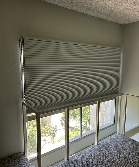 New blackout blinds