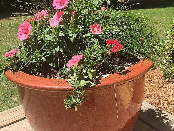 automatic irrigation system