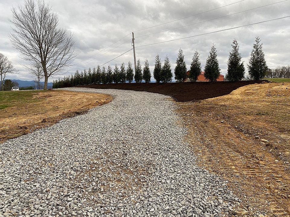 60 trees line driveway 