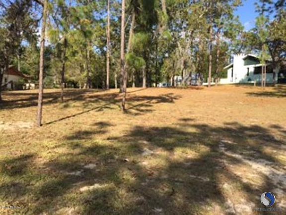 IMG_2389[1] (Custom)