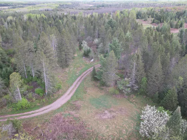 15544 Raven Ln, Butternut, WI 54514