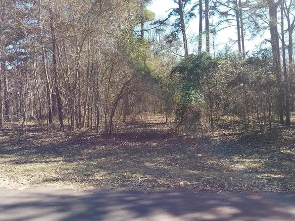 18503 Enchanted Woods, Flint, TX 75762