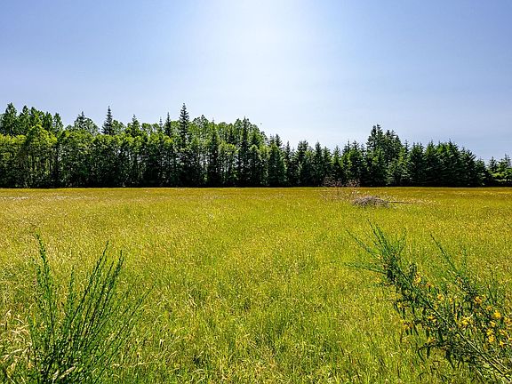 5th image of LOT 4 Butler Rd