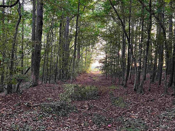 4th image of 0 Old Bethel Rd