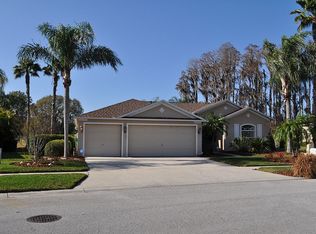 13819 Chandron Dr, Odessa, FL 33556