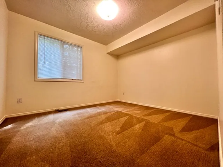 Stephen - 2238 — Photo 11
