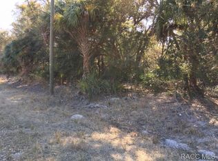 9954 N Twinflower Ter, Crystal River, FL 34428