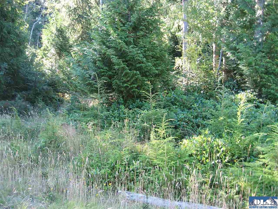 2nd image of Dragonfly Way