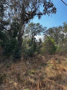 0 Cypress Rd #12, Ocala, FL, 34472