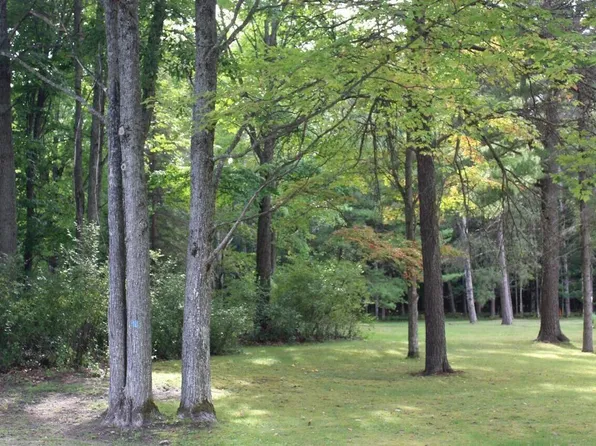 11831 Woody Rd, Roscommon, MI 48653