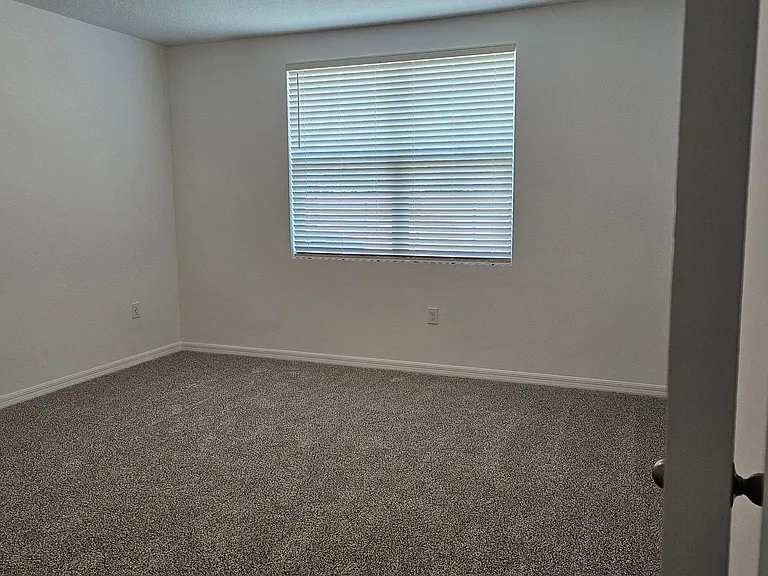 2335 White Tail St — Photo 8