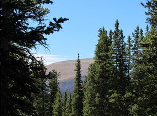 1365 Mountain View Dr, Fairplay, CO 80440