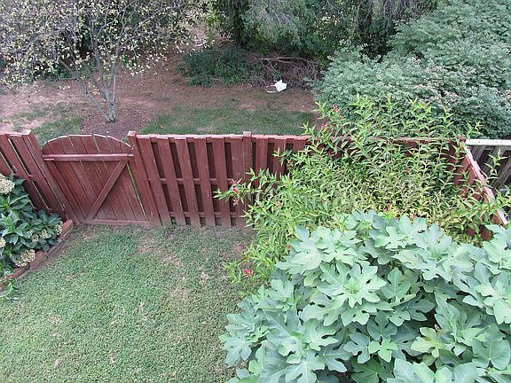 Backyard View