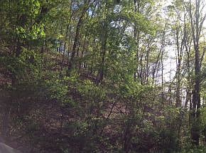 2nd image of Birchwood Rd