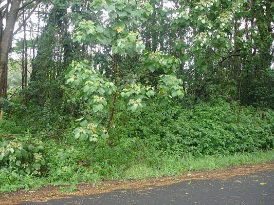 1st image of Puni Mauka Loop N Lot 5