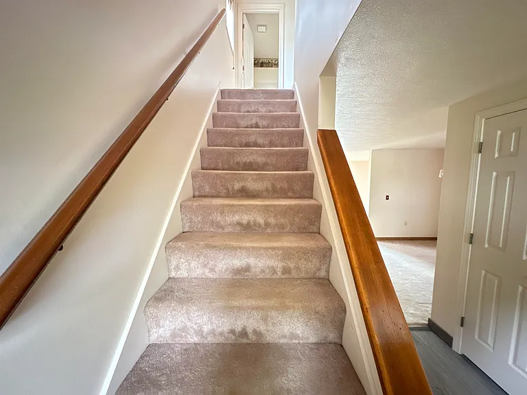24 Witham St #1 — Photo 21