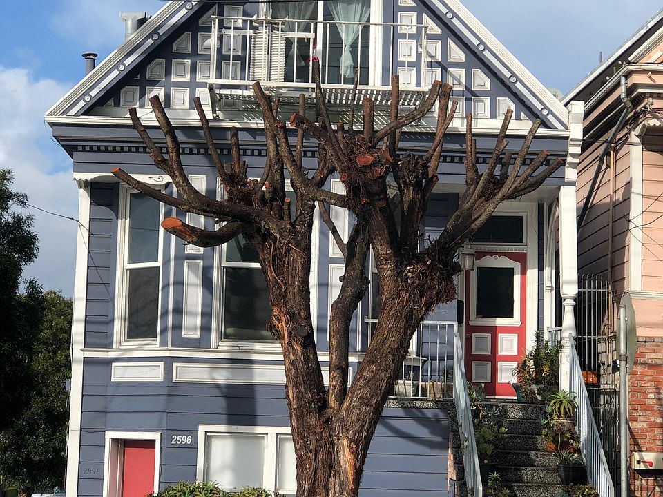 1st image of 2594 McAllister St
