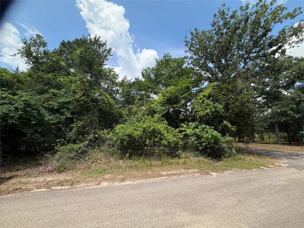 N King Lake Dr, Scroggins, TX 75480