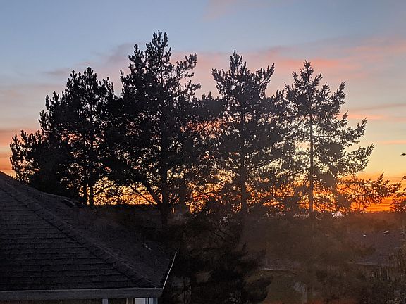 View from the bedroom