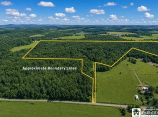 0 Leach Hill Rd LOT 26, Kennedy, NY 14747