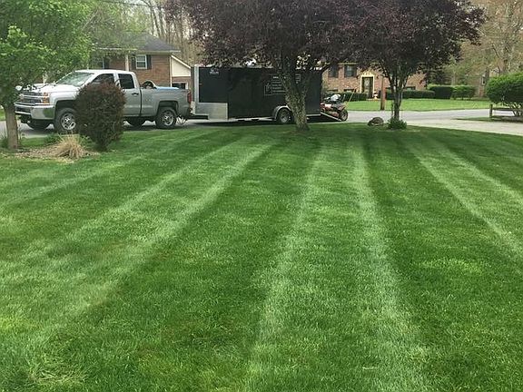 Yard from front porch